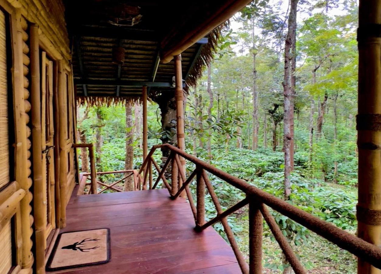 Adrak Mountain Mist Forest Resort Pulpally 외부 사진