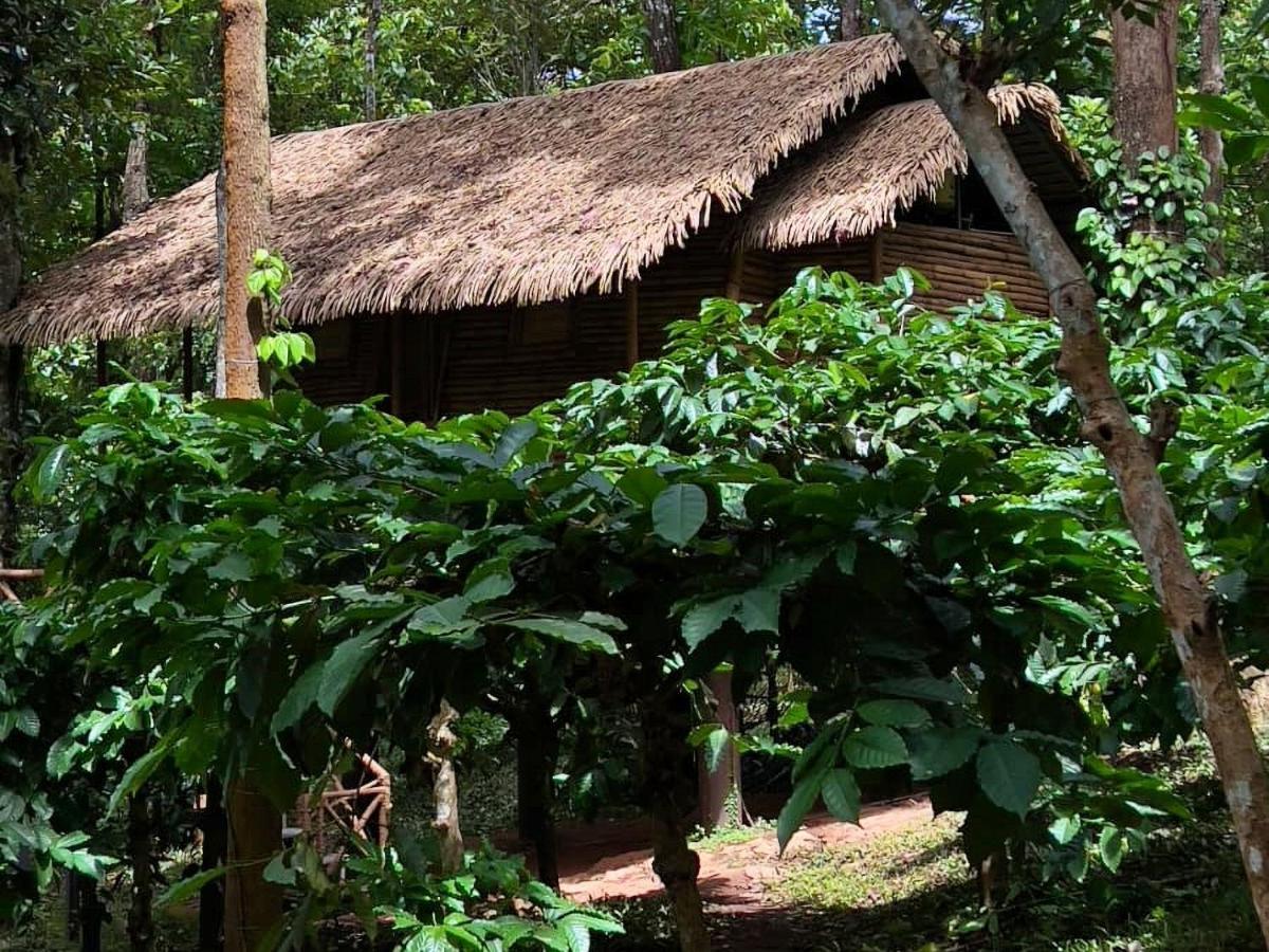 Adrak Mountain Mist Forest Resort Pulpally 외부 사진