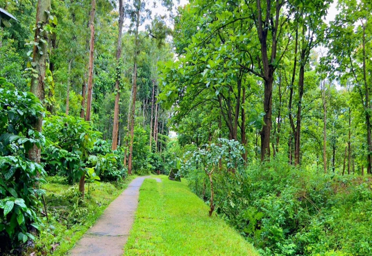 Adrak Mountain Mist Forest Resort Pulpally 외부 사진