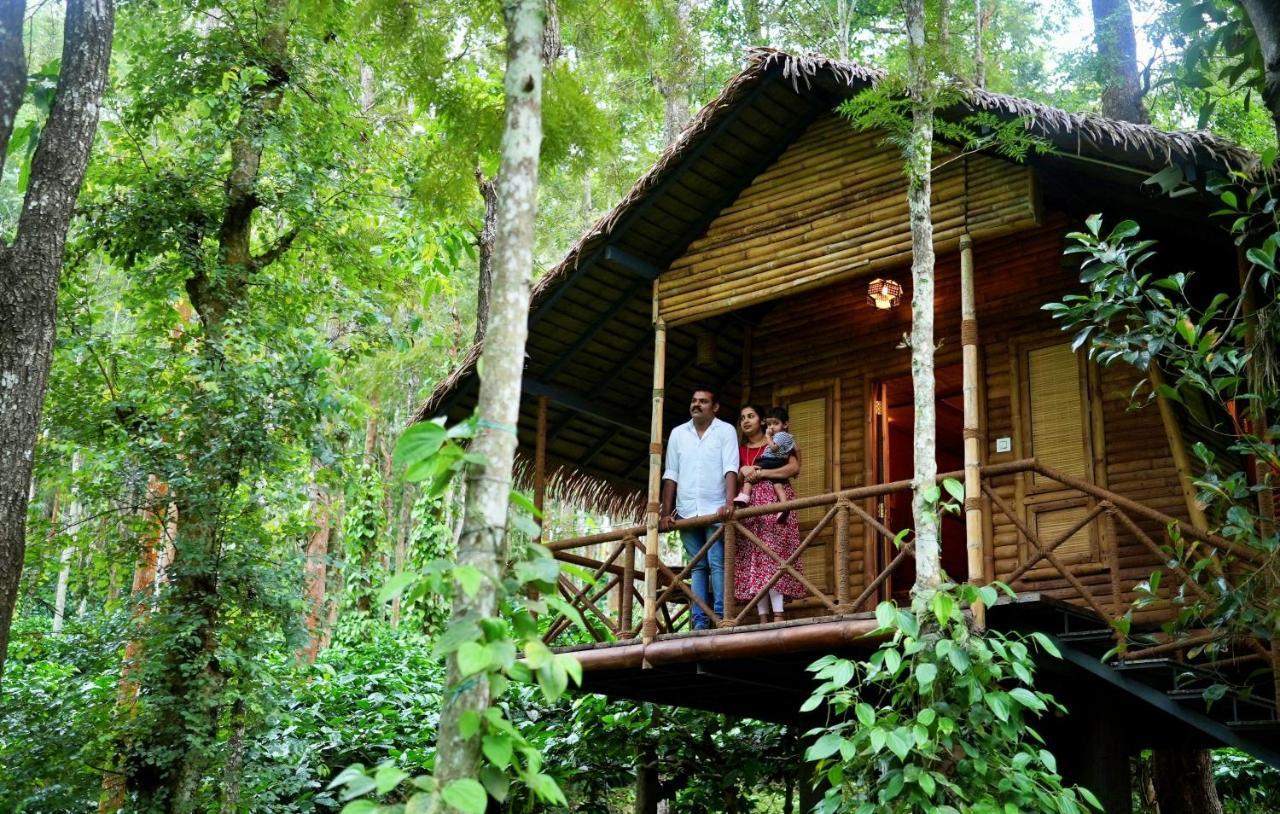 Adrak Mountain Mist Forest Resort Pulpally 외부 사진