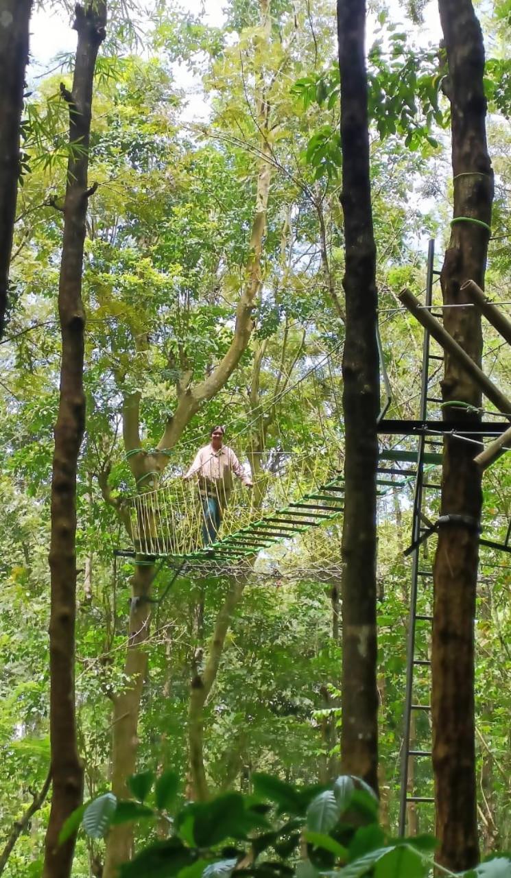 Adrak Mountain Mist Forest Resort Pulpally 외부 사진